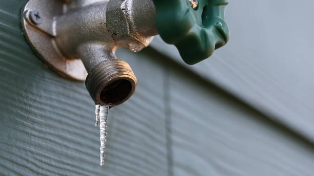 Best Sewer Line Repair  in Princeton, KY